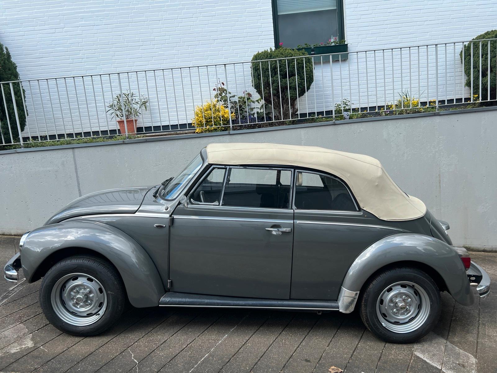 Volkswagen Cabrio Bild 4