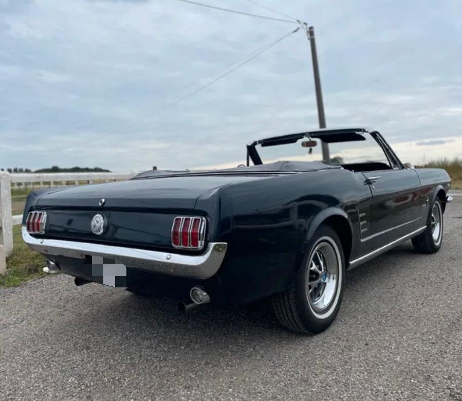 Ford Cabrio Bild 3