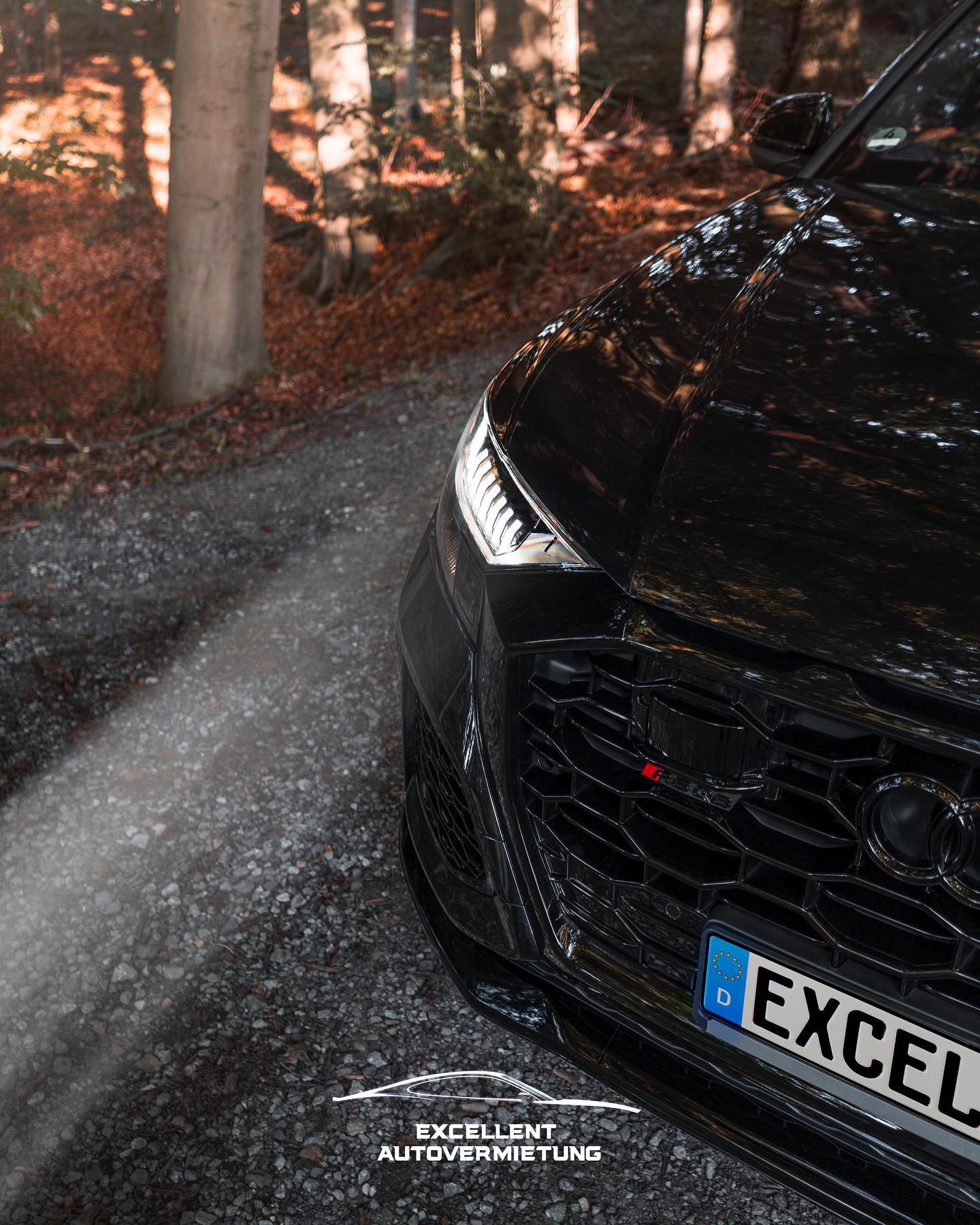 Audi SUV Bild 6