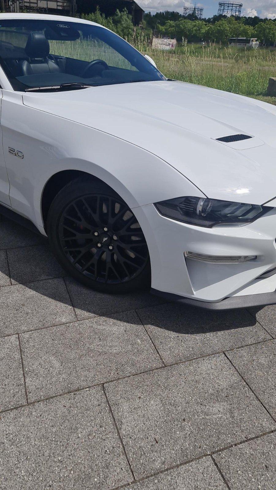Ford Cabrio Bild 5
