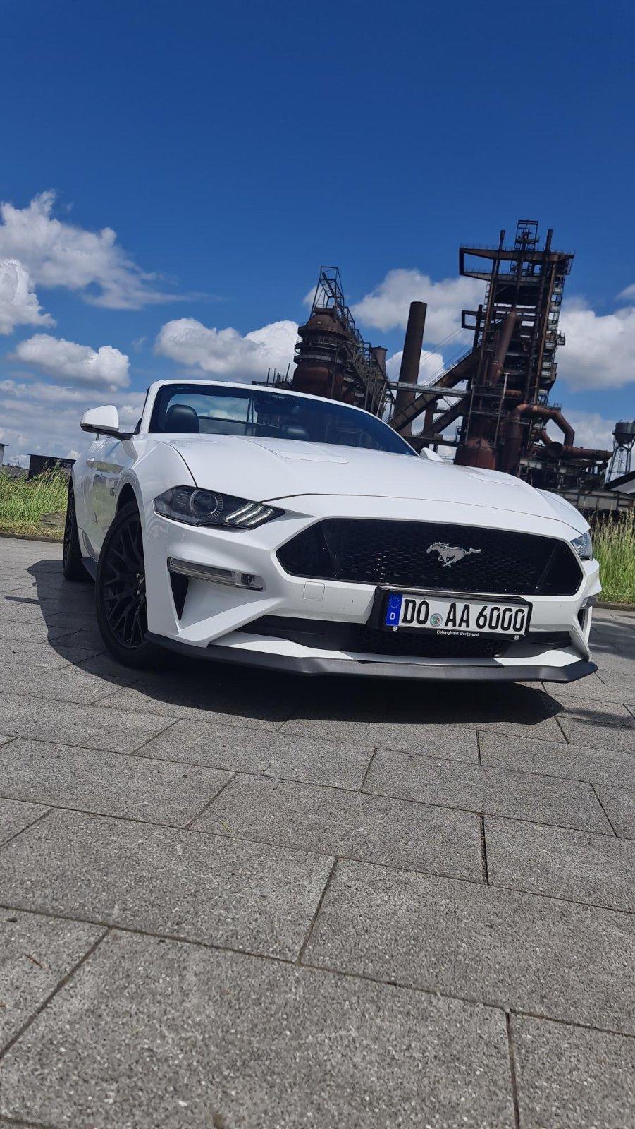 Ford Cabrio Bild 4