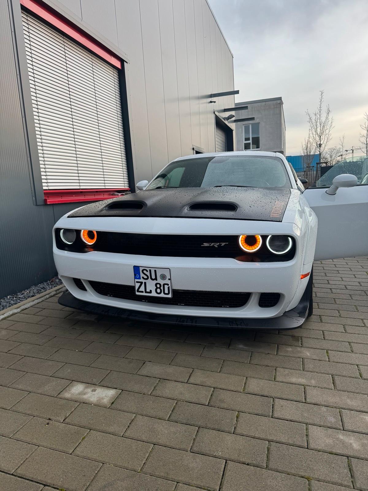 Dodge Sport Bild 6
