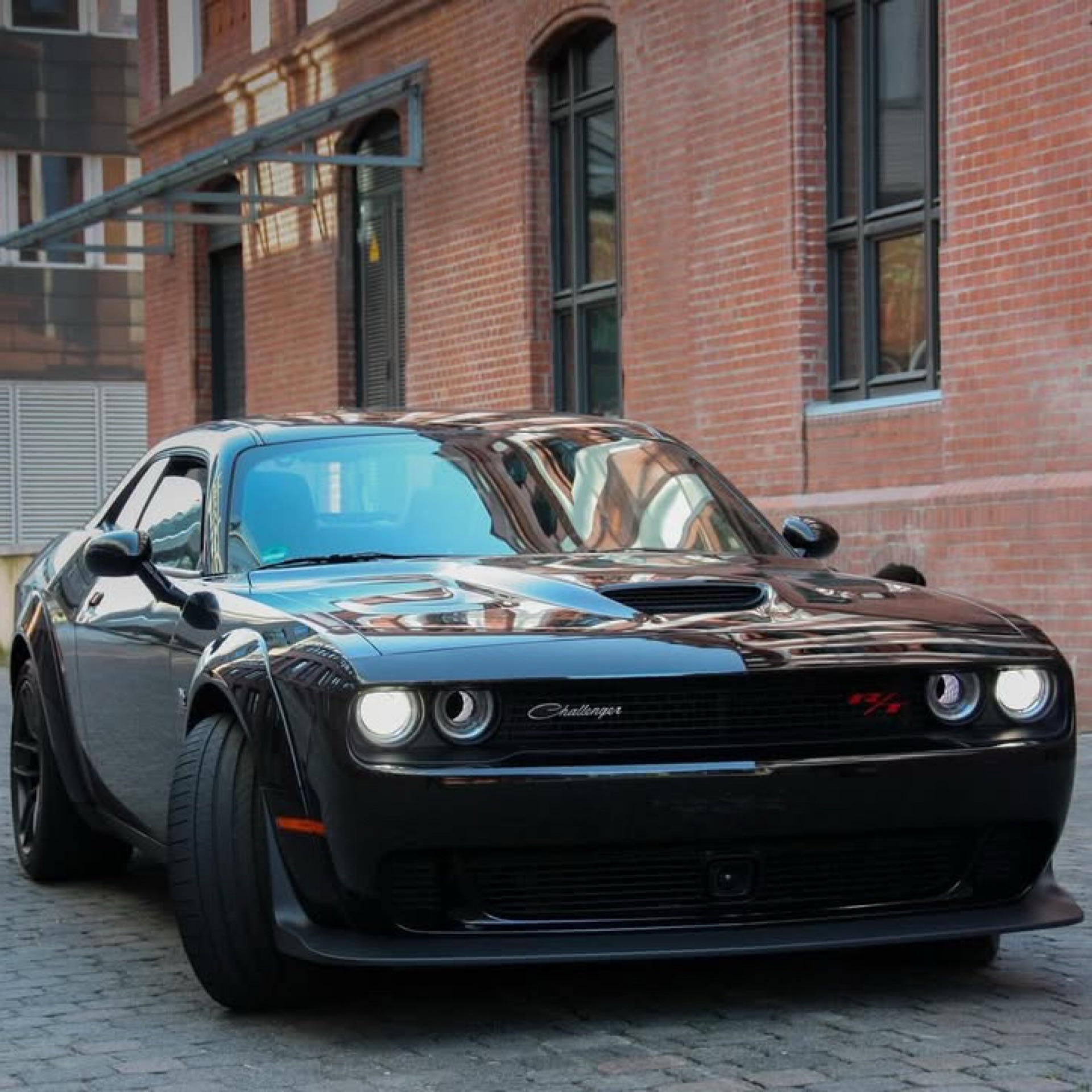 Dodge Sport Bild 2