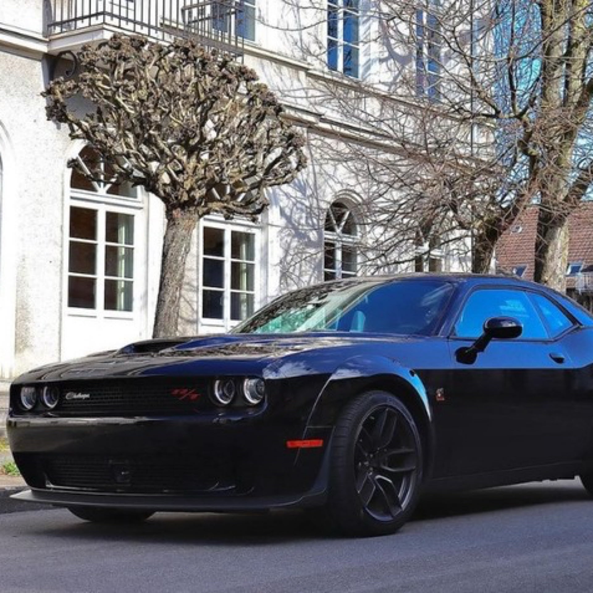 Dodge Sport Bild 4