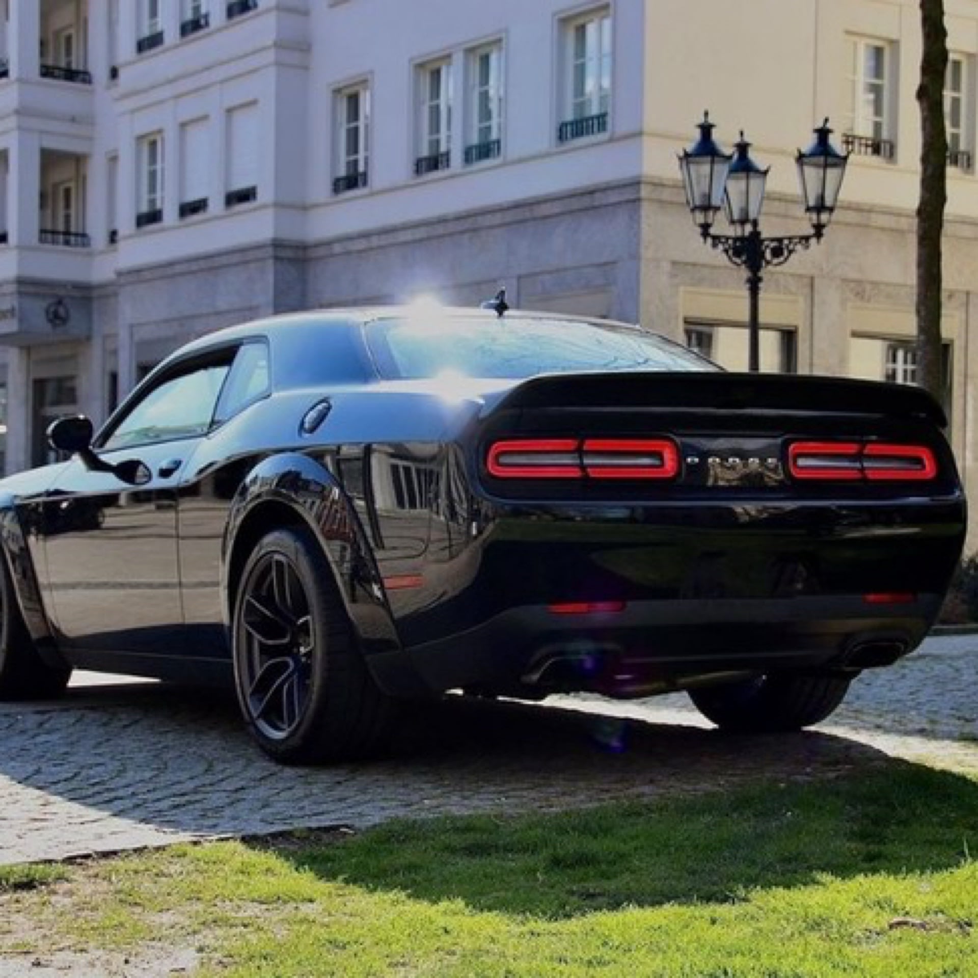 Dodge Sport Bild 5