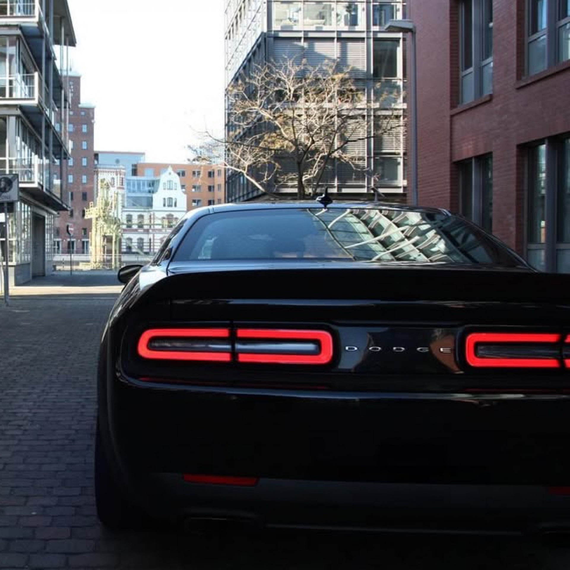 Dodge Sport Bild 6