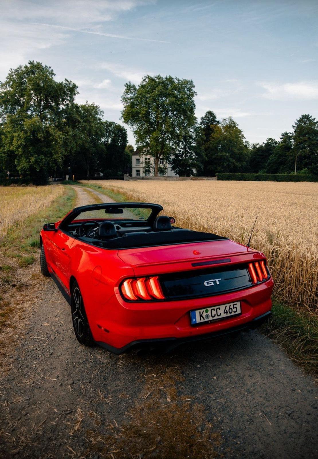 Ford Cabrio Bild 3