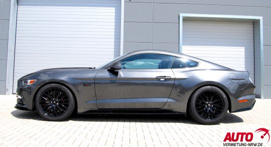 Ford Sport Bild 3