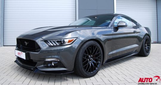 Ford Sport Bild 5