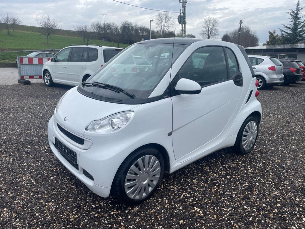Smart Kastenwagen Bild 3