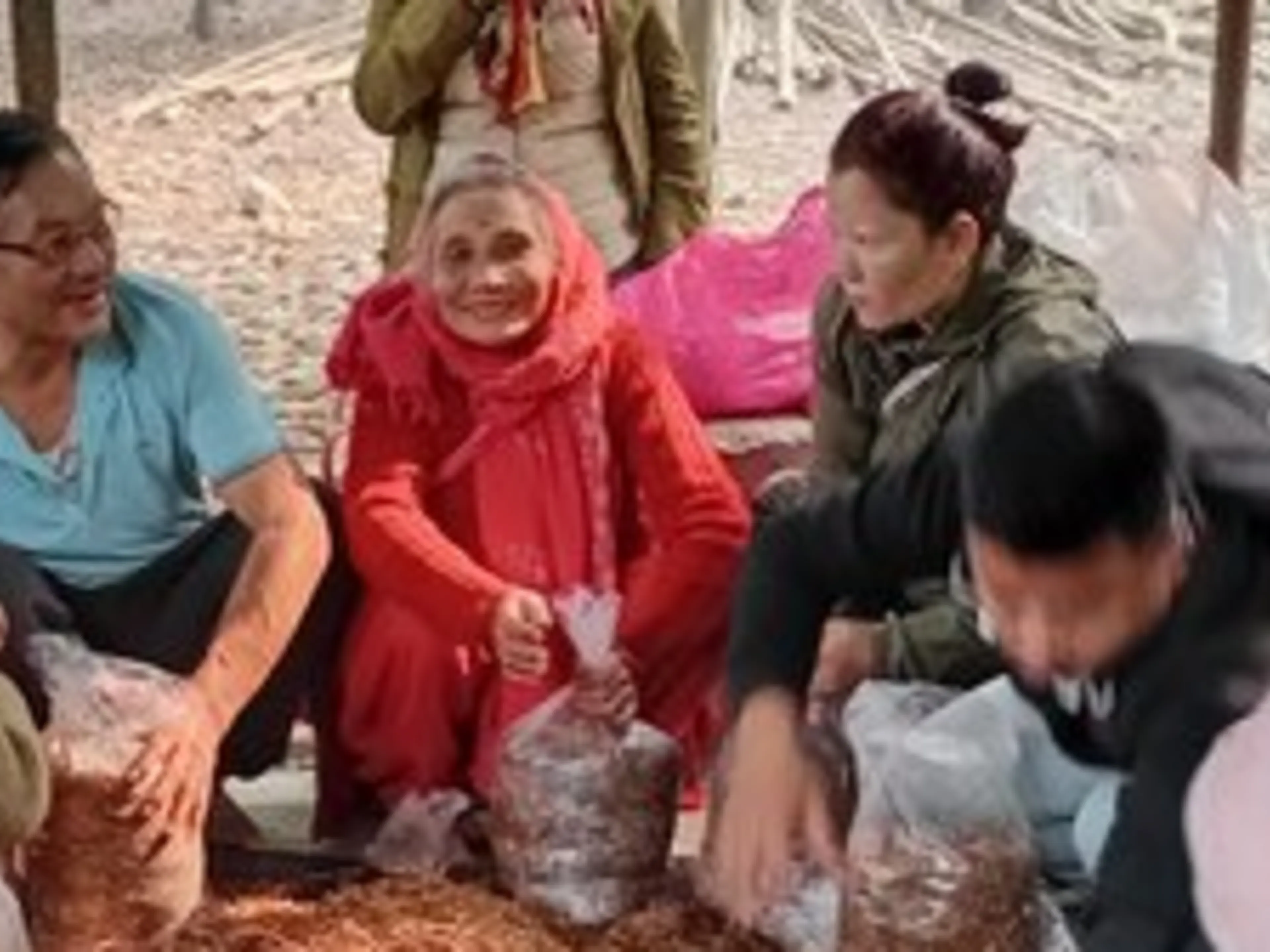 Mushroom farming training session 19