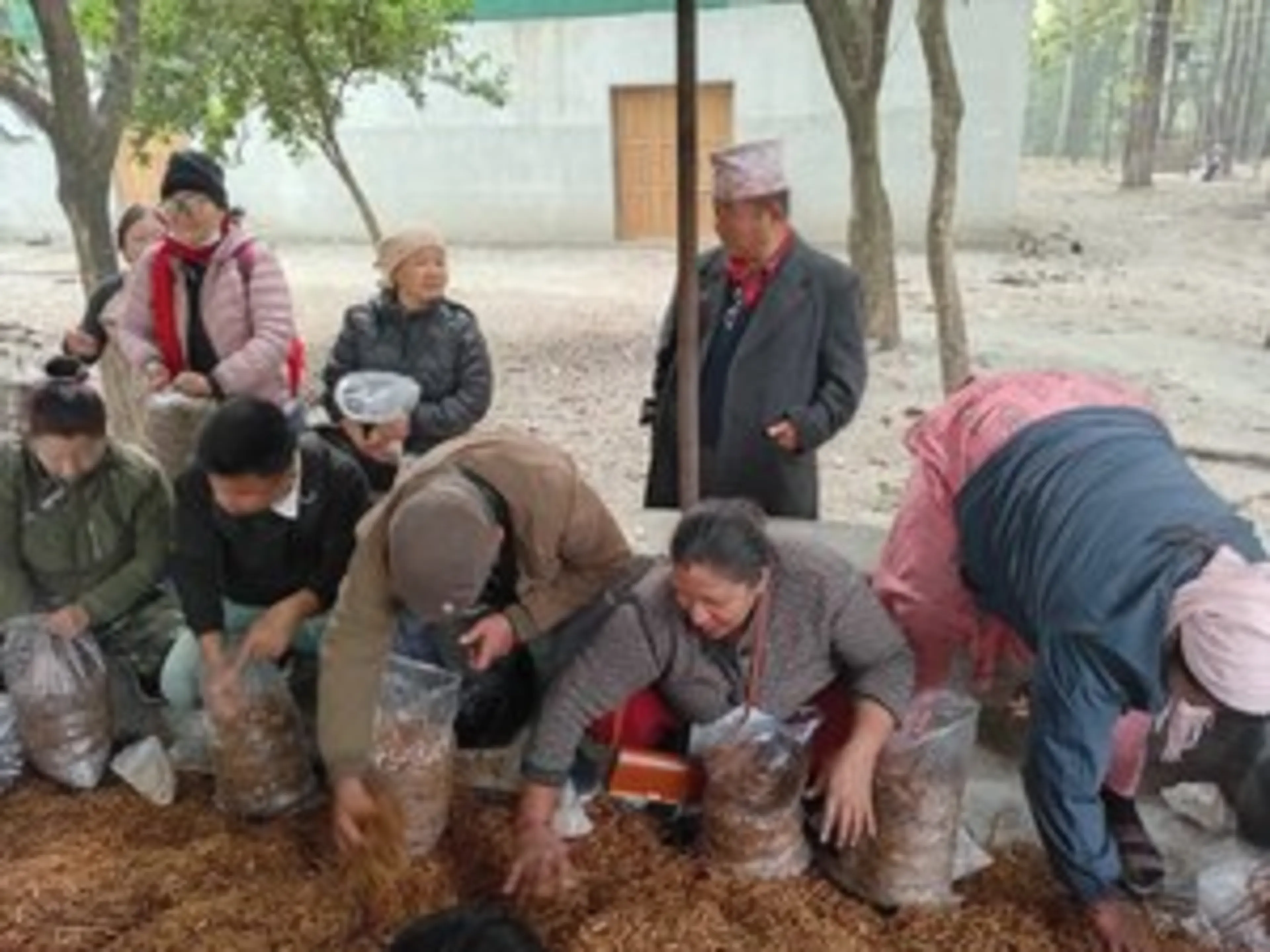 Mushroom farming training session 20