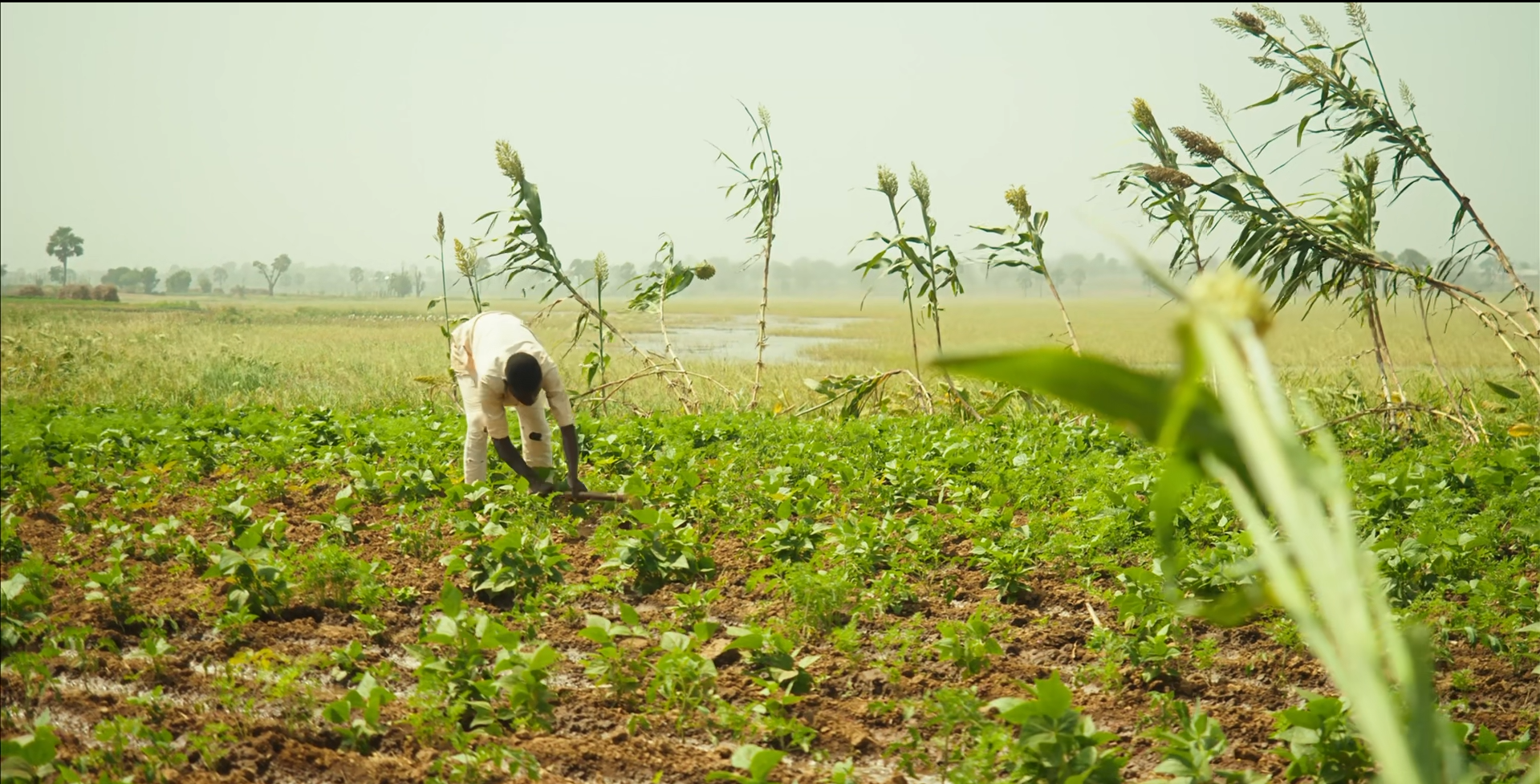This is a farmer working on his farm in Kudan