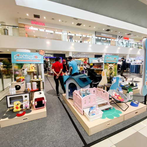 Free Grooming at Pet Kingdom Ciwalk Ciwalk