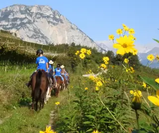 Ausritt auf den Spuren der Römer – Einsteigerniveau