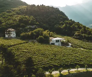 Ein Schluck Trentiner Schaumwein (und mehr!)