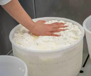 “Little cheesemakers” experience