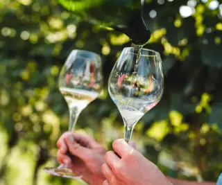 Wine Trekking alla Cantina Salim