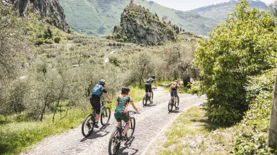 Dettaglio Mountain Bike in Garda Trentino - Casa Prabi