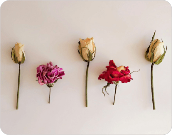 Tips on how to deal with wedding stress