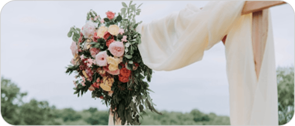 How to grow your flowers for your wedding.
