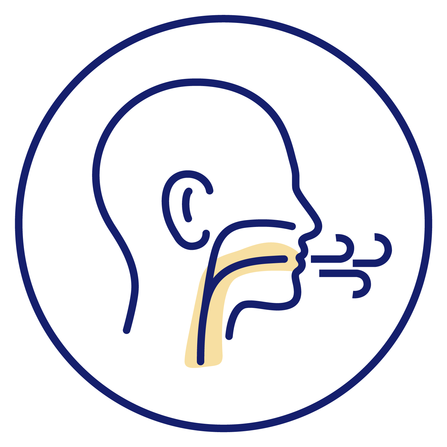 Image Alt Text