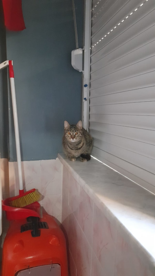 Luna - Kayıp