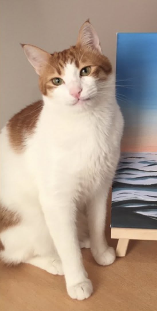 Zeytin - Kayıp