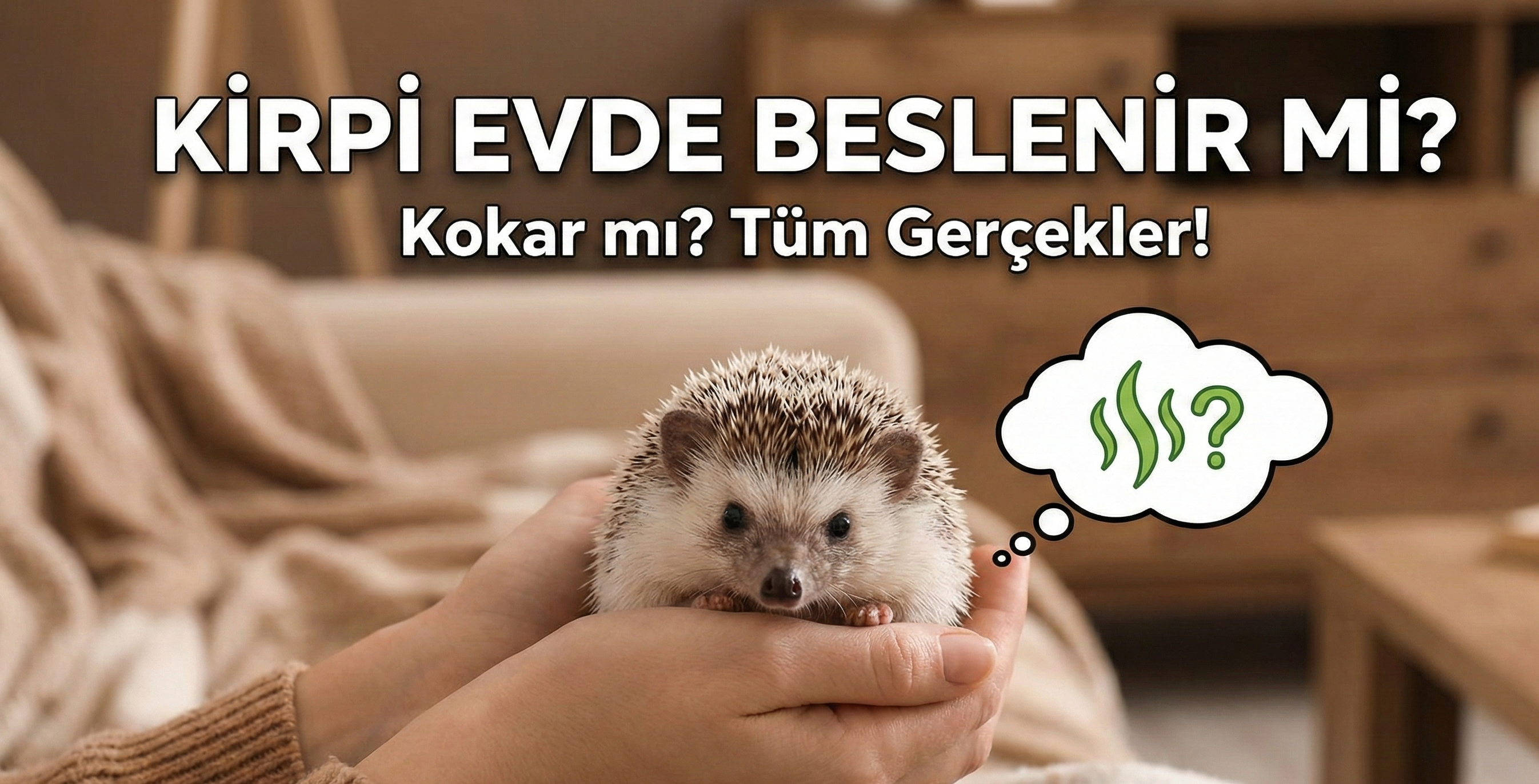 Kirpi Evde Beslenir mi? Kokar mı? 2025 Kirpi Bakım Rehberi