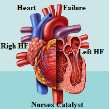 How to manage Heart failure and What is nursing Intervention Related to heart Failure?