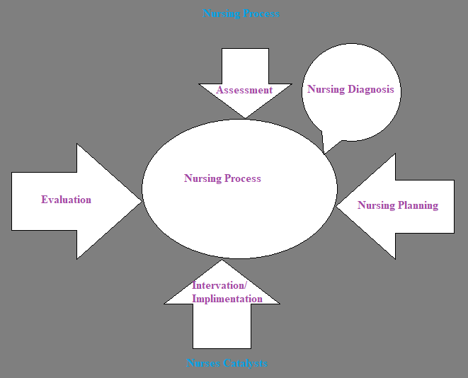 Why Nursing Care Plan and Nursing Process is Important.