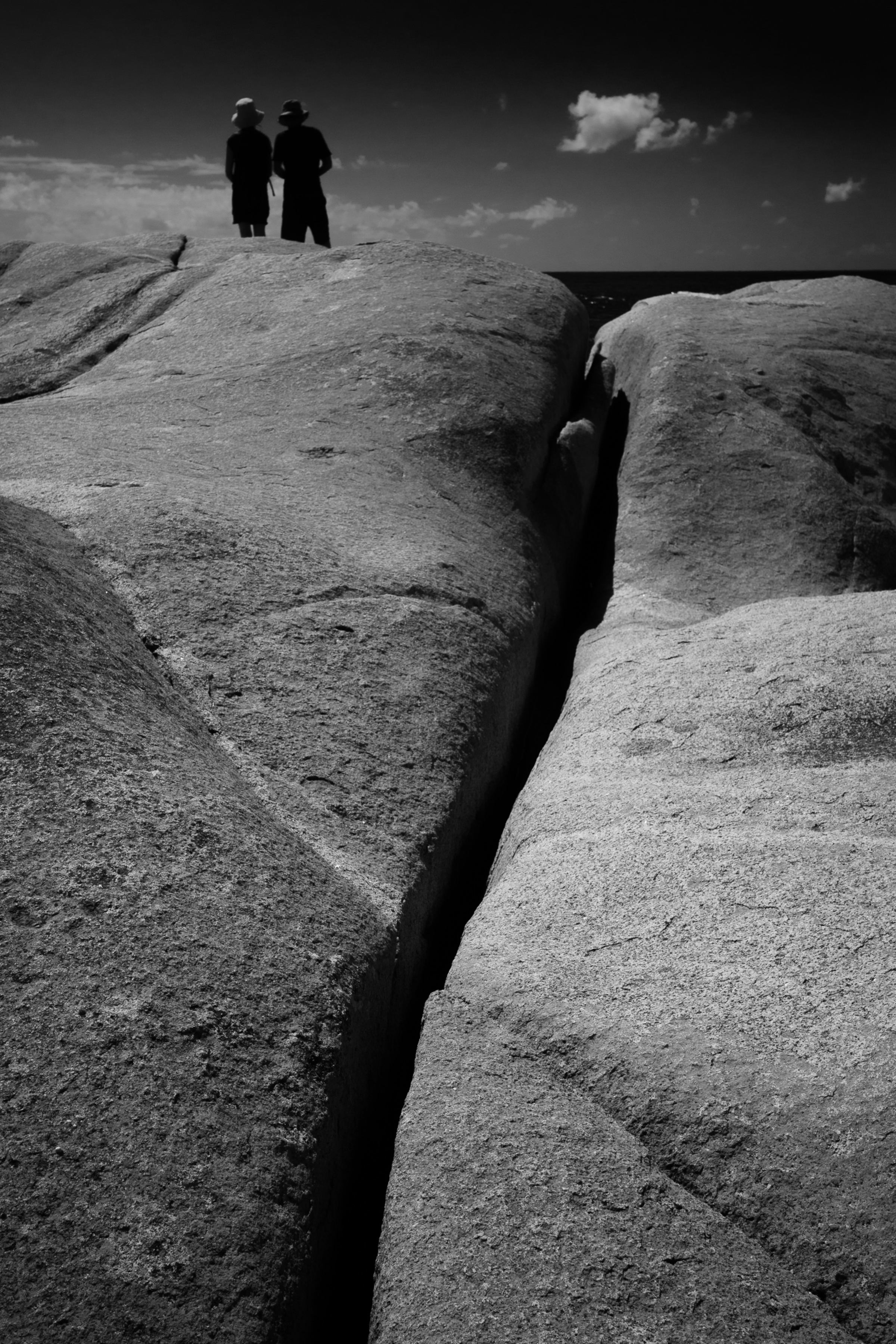 Tasmania - The Gardens