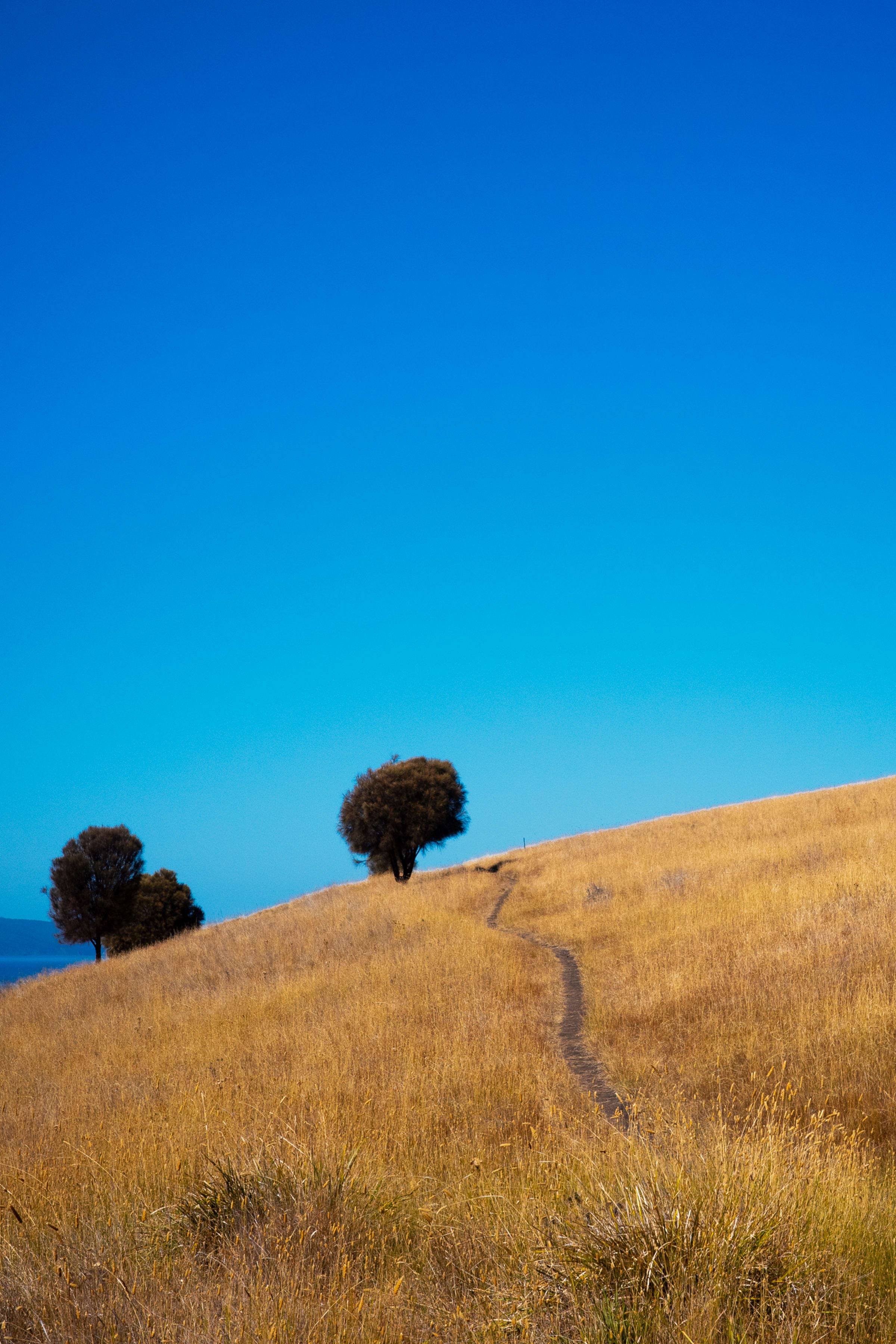 Tasmania - Walking to Cremorne