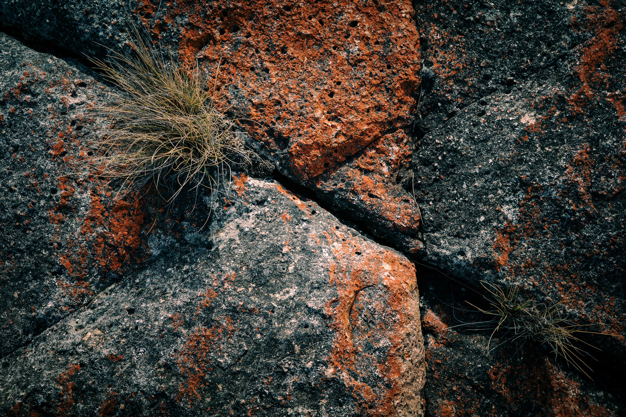 Tasmania - The Bay Of Fires