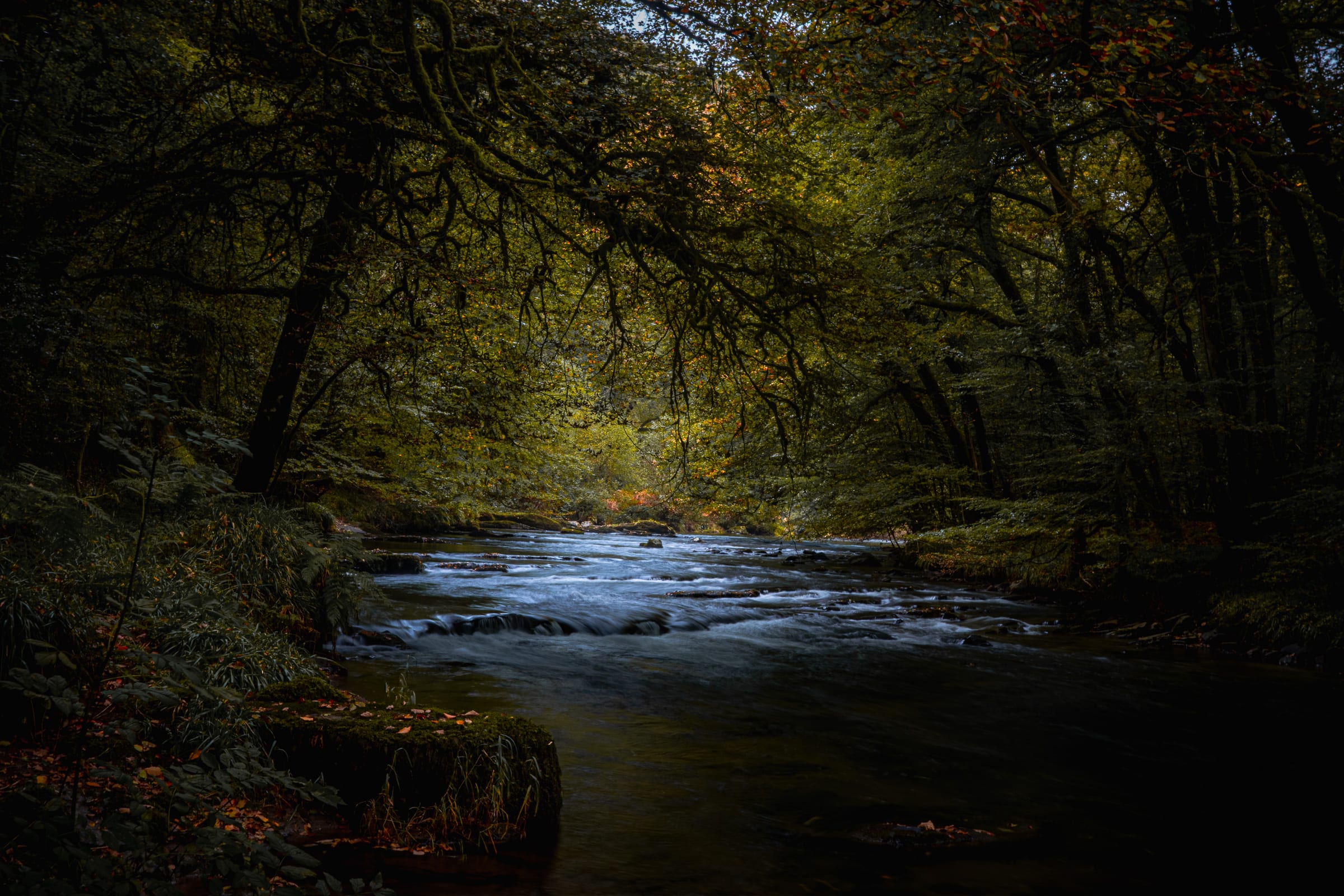 The River Barle