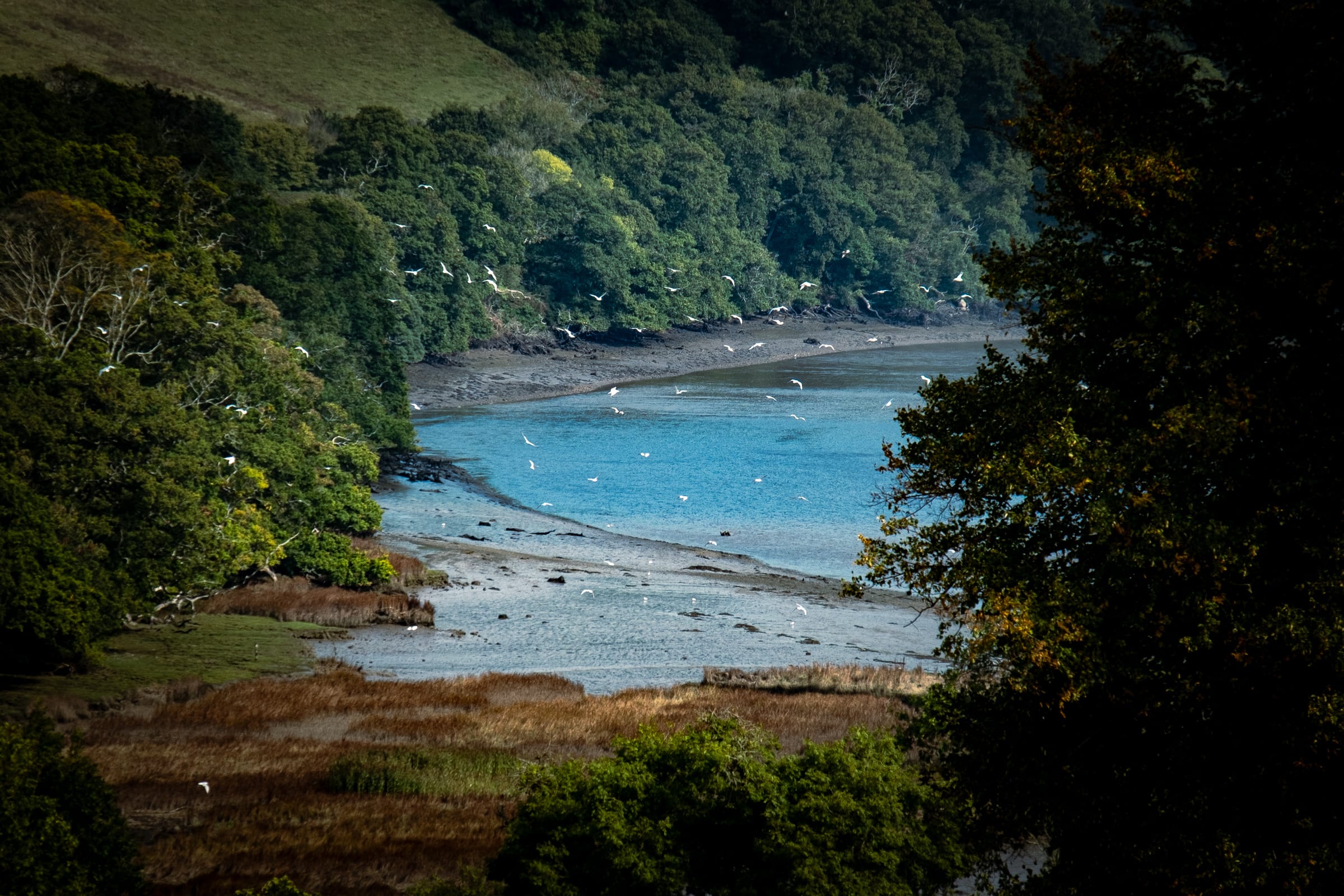 The River Dart