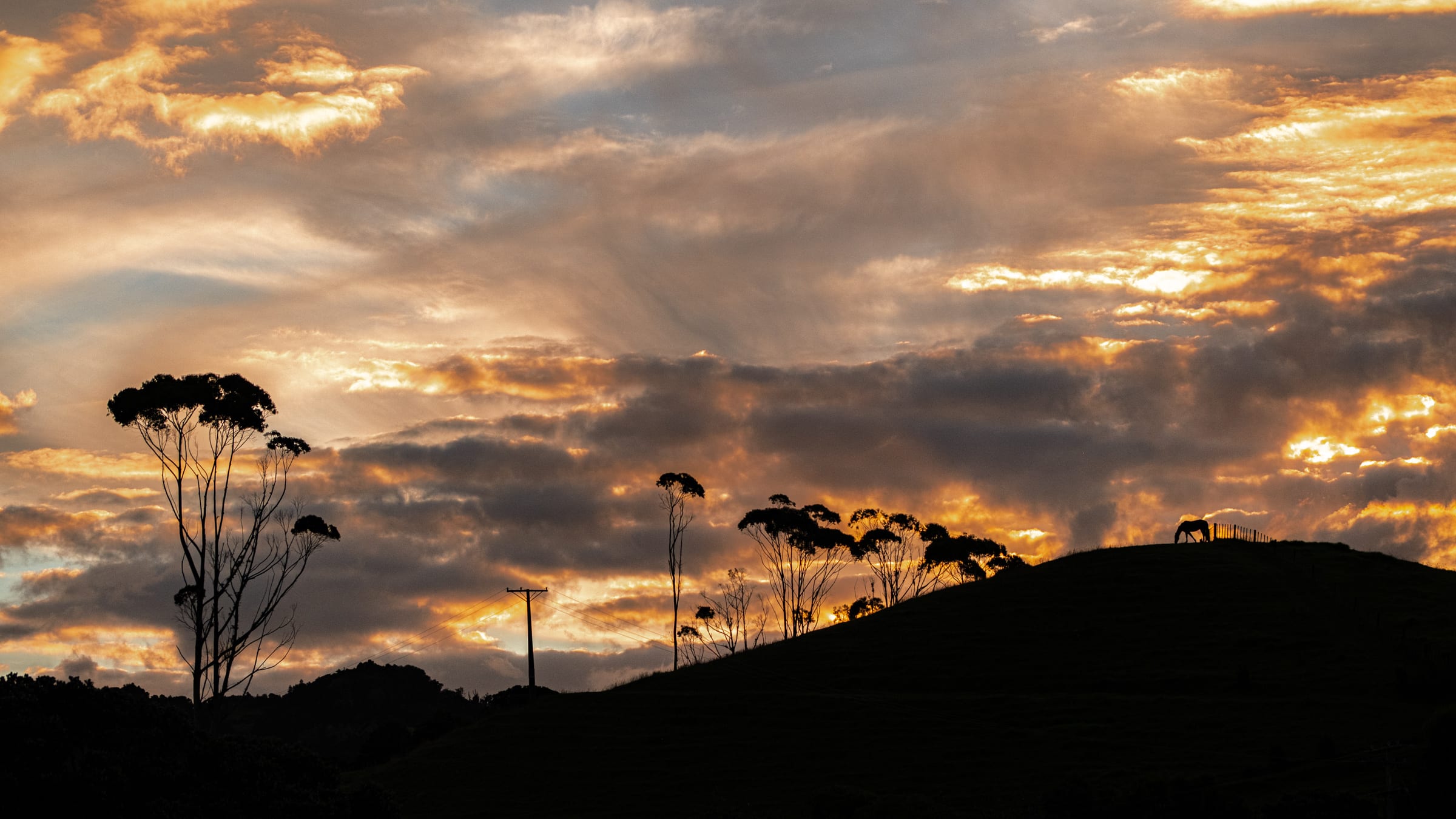 Near Matapouri
