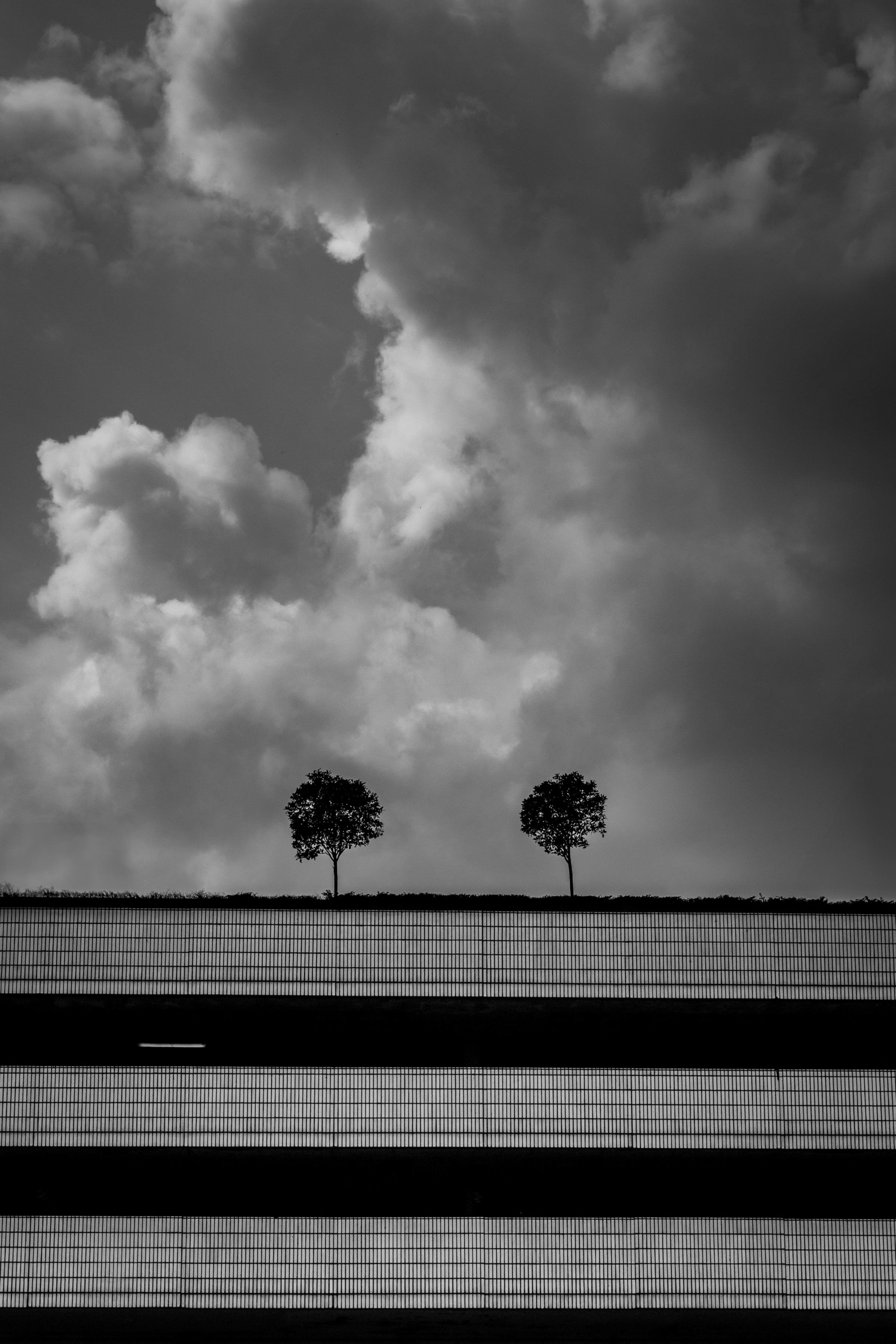 This was taken on a photo walk in lockdown.