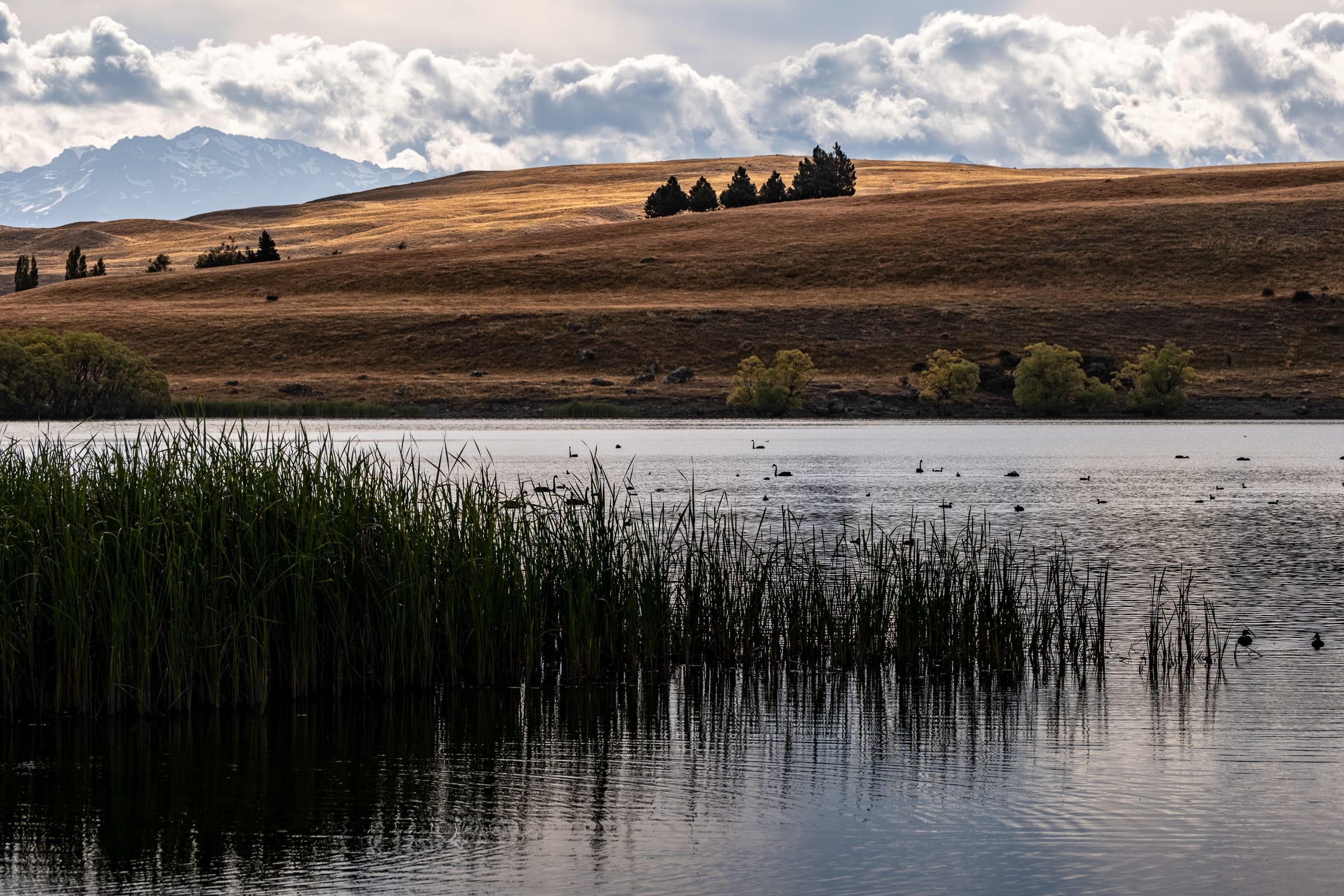 Lake MacGregor