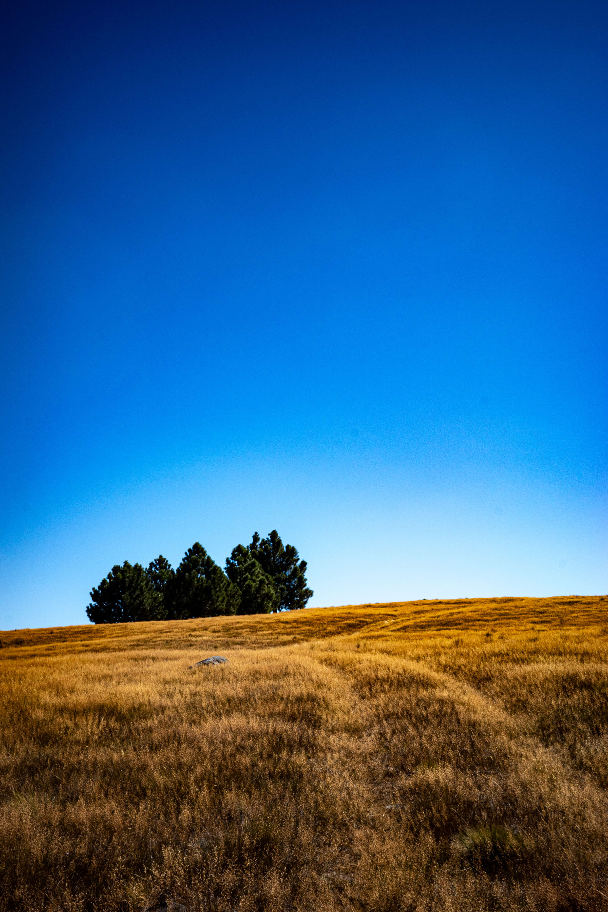 The hills above Lake Tekapo