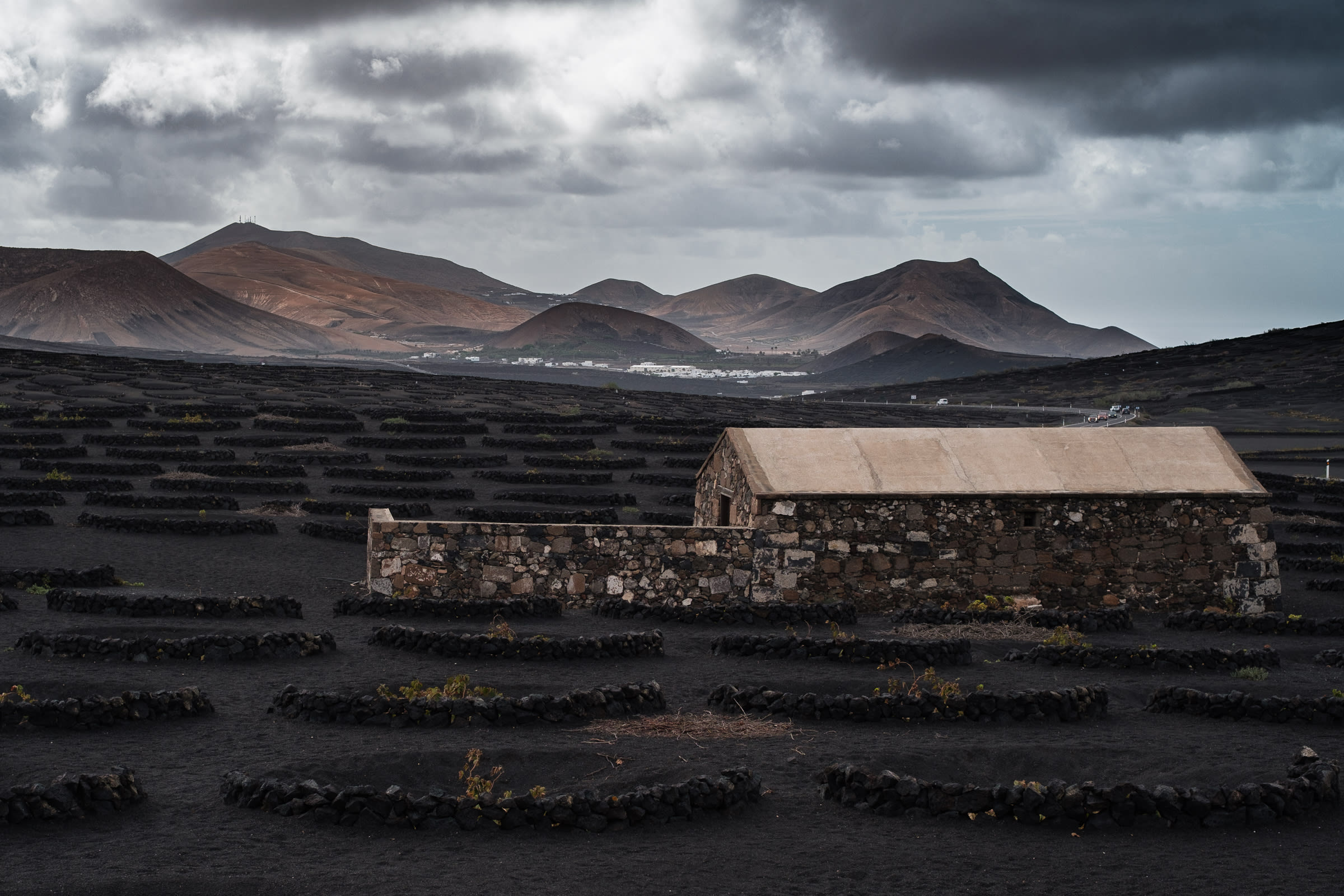 A vineyard in Lanzarote