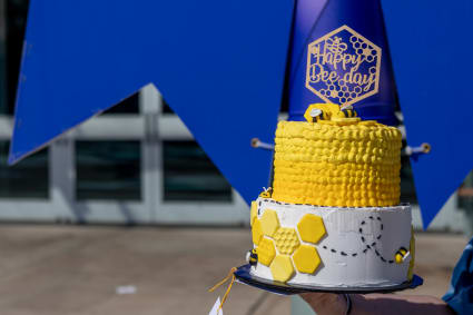 Bee cake