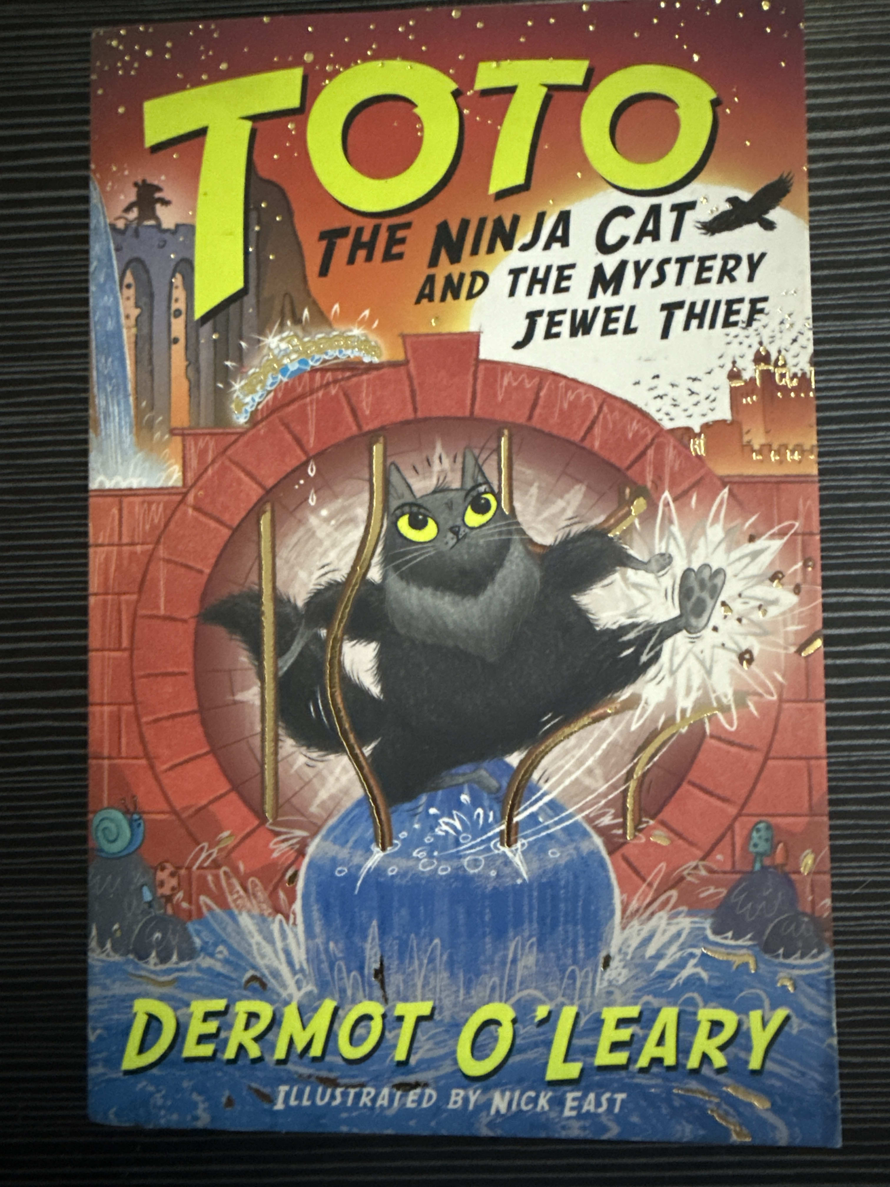 Toto the Ninja Cat and the Mystery Jewel Thief