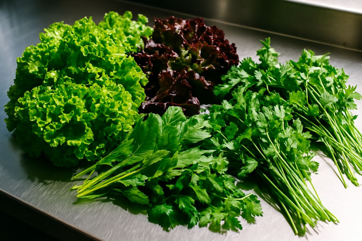 CDC Expands Cyclospora Investigation as US Cases Exceed 400