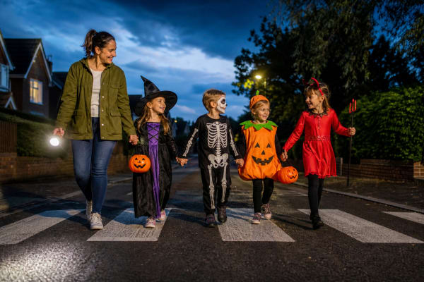 Doctors warn of cannabis edible poisonings and pedestrian deaths as children head out trick-or-treating