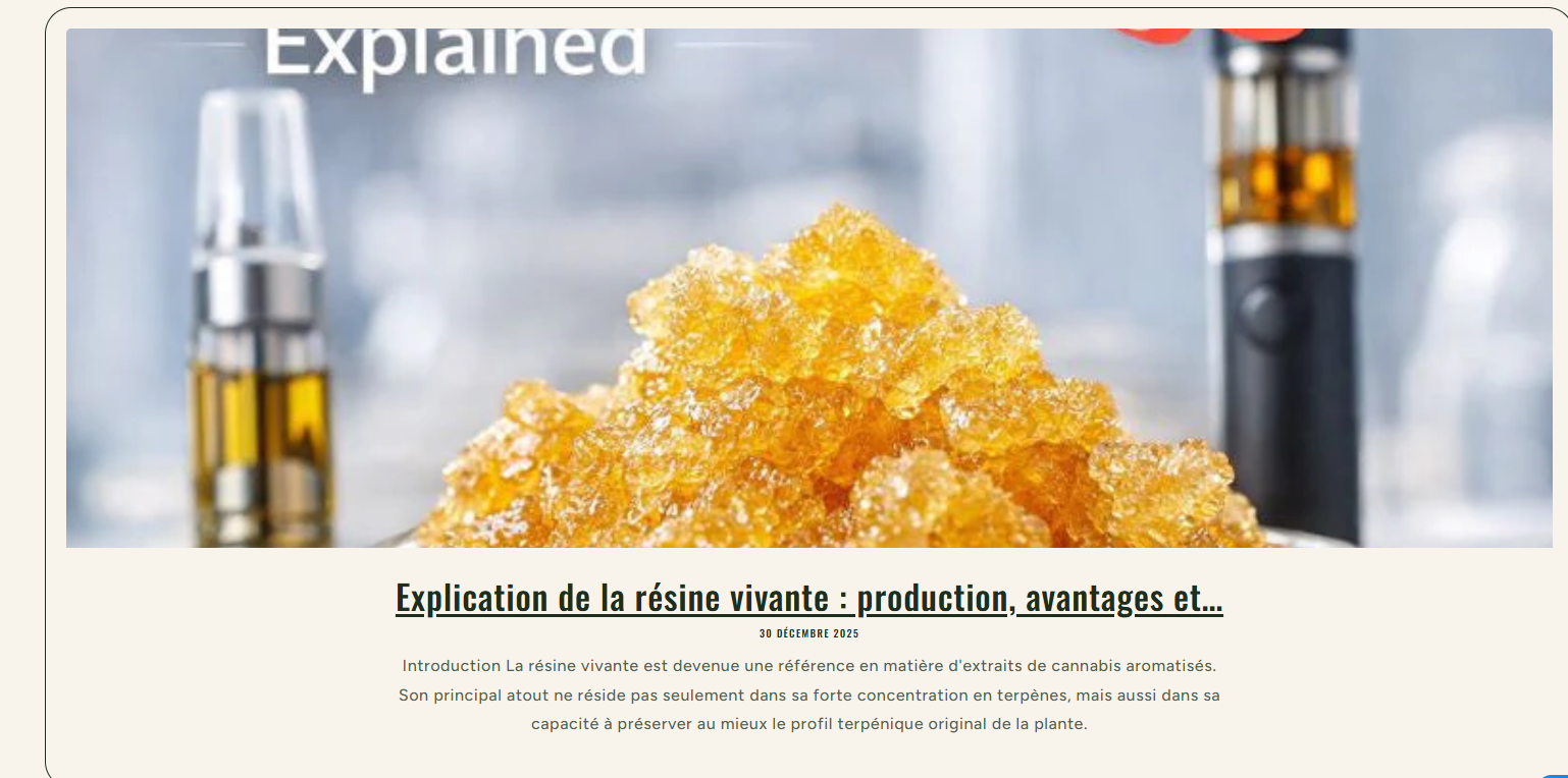 Rollzeurope product image