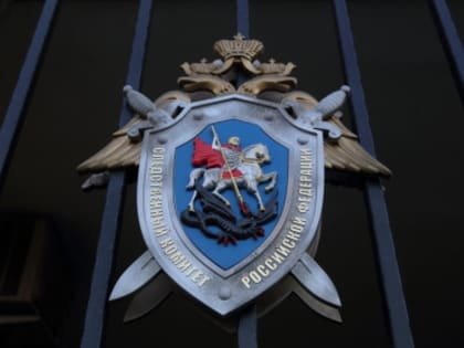 Следственными органами возбуждено уголовное дело о покушении на дачу взятки должностному лицу