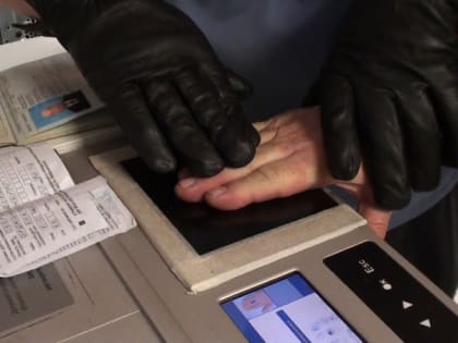 Жительницу Чечни поймали на крупном мошенничестве в Ингушетии