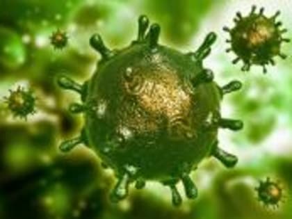 В Ингушетии вопрос профилактики коронавируса находится под контролем