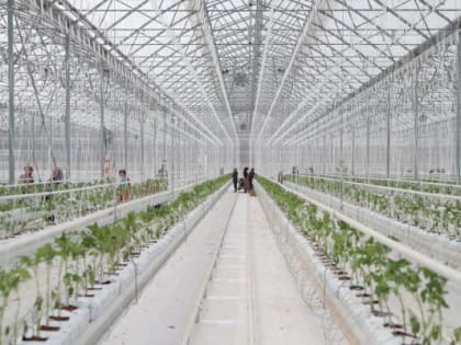 Более 3 тыс. предпринимателей Ингушетии получили помощь центра «Мой бизнес»